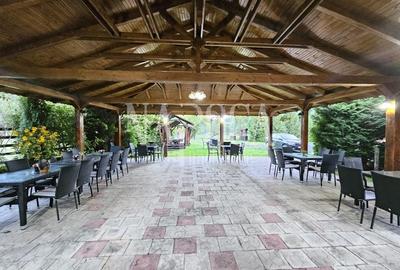 Casă individuală cu 19 camere cu Teren 9669 Mp în Mărgău - 5