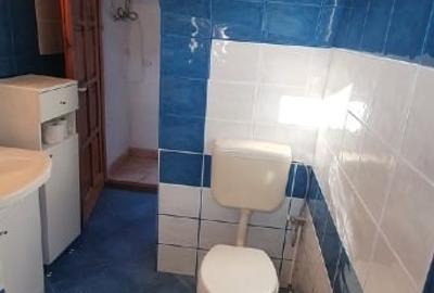 Casă individuală cu 4 camere cu Canalizare în Revetiș - 4