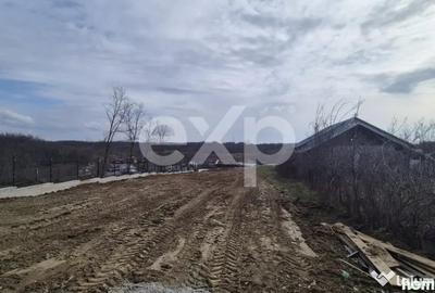 Teren în Albota - 4