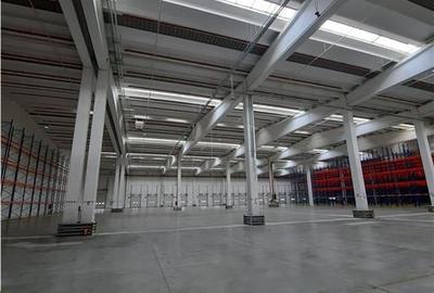 Spațiu industrial, de 10,000 mp, în Est - 15