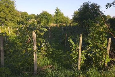 Teren de 2500 mp, în Urechești - 1