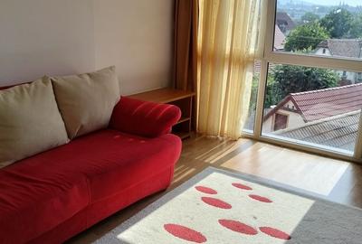 Apartament cu 2 camere decomandat în Turnișor - 2