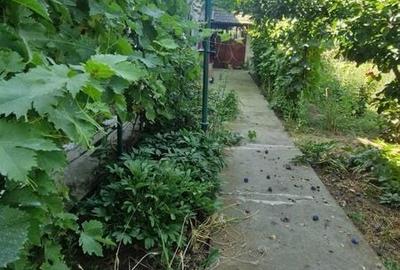 Casă cu 4 camere cu Teren 400 Mp în Smârdioasa - 2