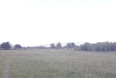 Teren de 2557 mp, în Iazu - 1