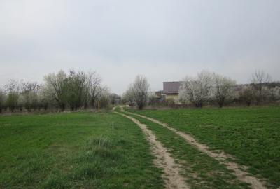 Teren Construcții intravilan de 646 mp, în Domnești