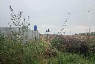 Teren de 5000 mp, în Ciolpani