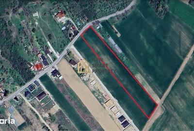 Teren de 8632 mp, în Podgoria