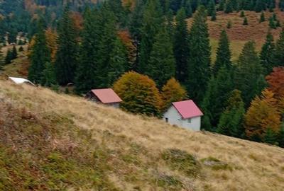 Teren intravilan de 2000 mp, în Cresuia
