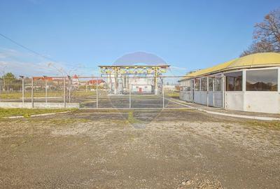 Spațiu industrial, de 1,250 mp, în Lunca Calnicului - 9