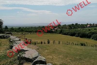 Teren agricol intravilan de 1523 mp, în Calnic - 11