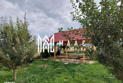 Casă cu 4 camere în Paltin - 1