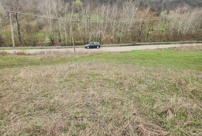 Teren de 8000 mp, în Șoimari - 1