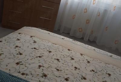 Apartament cu 3 camere decomandat în Județean - 2