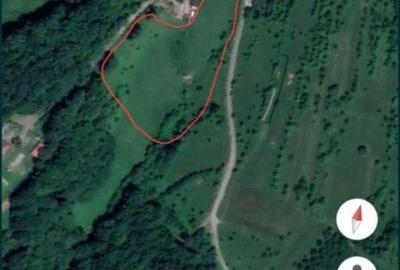 Teren de 8600 mp, în Barza - 2