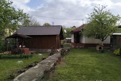Casă cu 2 camere în Brănișca