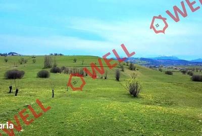 Teren de 6519 mp, în Barcani - 3