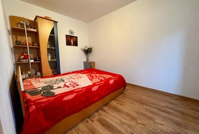 Apartament cu 2 camere semidecomandat, mobilat în Șagului