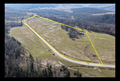 Teren Construcții intravilan de 42000 mp, în Teișani