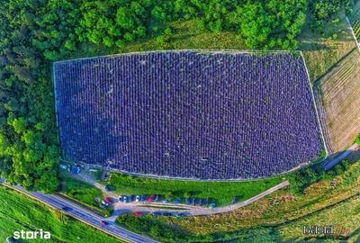 Teren de 8000 mp, în Central - 1
