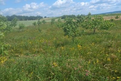 Teren agricol extravilan de 7000 mp, în Zvoriștea - 4