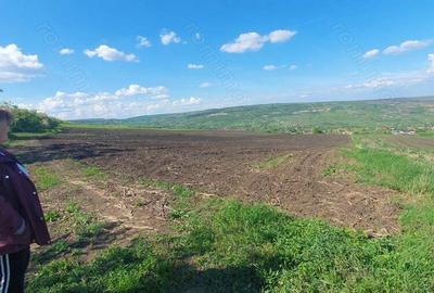 Teren de 16100 mp, în Iris