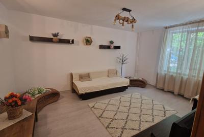 Apartament cu 2 camere decomandat în Precista - 6