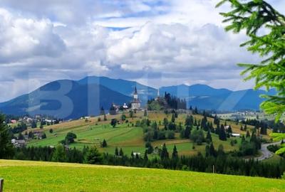 Teren de 3936 mp, în Piatra - 4