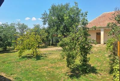 Casă individuală cu 5 camere cu Teren 5095 Mp în Călacea - 9