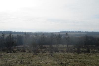 Teren agricol extravilan de 29200 mp, în Cincșor - 1