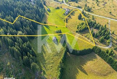 Teren de 18044 mp, în Dâmbovicioara - 1