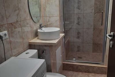 Apartament cu 2 camere semidecomandat în Gara Mare - 4