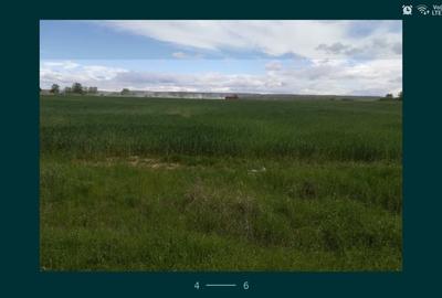 Teren în Căteasca - 2