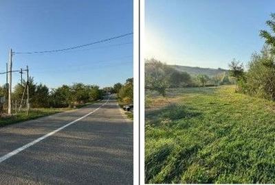Teren de 2500 mp, în Roman