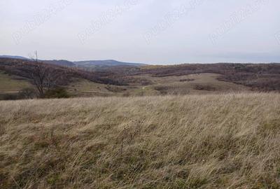 Teren de 19150 mp, în Tomnatic - 2