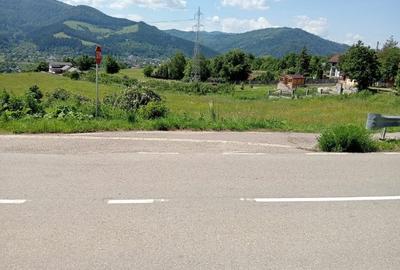Teren intravilan de 8600 mp, în Viișoara - 2