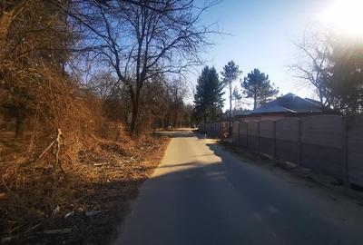 Teren Construcții intravilan de 19470 mp, în 1 Decembrie - 4