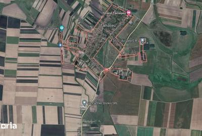 Teren de 5000 mp, în Tămășeu - 1