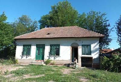 Casă individuală cu 3 camere cu Teren 12000 Mp în Goicea