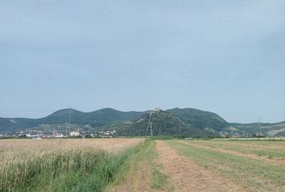 Teren de 6600 mp, în Central