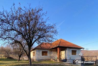 Casă individuală cu 4 camere cu Teren 8000 Mp în Ciucea - 1