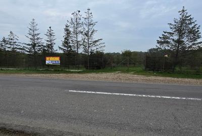 Teren agricol extravilan de 18000 mp, în Boțârlău - 31