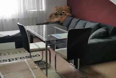 Apartament cu 2 camere decomandat în Teilor - 5