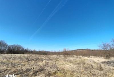 Teren de 11500 mp, în Vărădia de Mureș