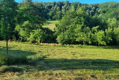Casă cu 4 camere în Orvișele - 3
