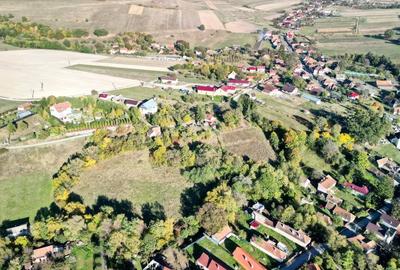 Teren Construcții intravilan de 2825 mp, în Vâlcele - 10