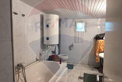 Casă cu 3 camere cu Teren 10991 Mp în Siliștea