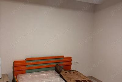 Apartament cu 2 camere semidecomandat în Lugoj - 7