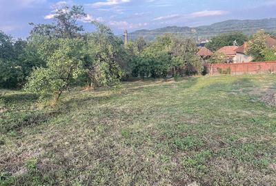 Teren de 3000 mp, în Ciofrângeni