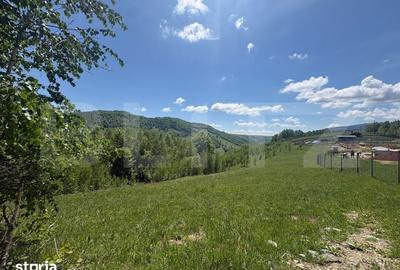 Teren de 5000 mp, în Băișoara - 1