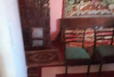 Casă cu 3 camere cu Teren 1600 Mp în Zau de Câmpie - 8